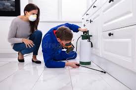 Reliable Inverness, CA Pest Control Solutions